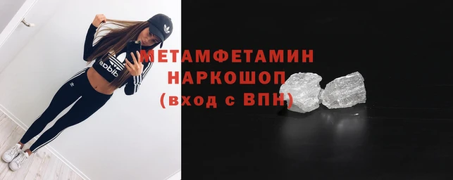 мяу мяу мука Новозыбков
