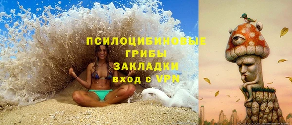 мяу мяу мука Новозыбков