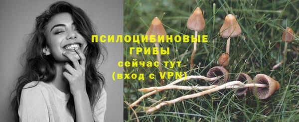 прущие грибы Алапаевск
