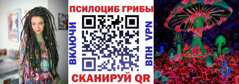 Галлюциногенные грибы Psilocybe  Калач-на-Дону 