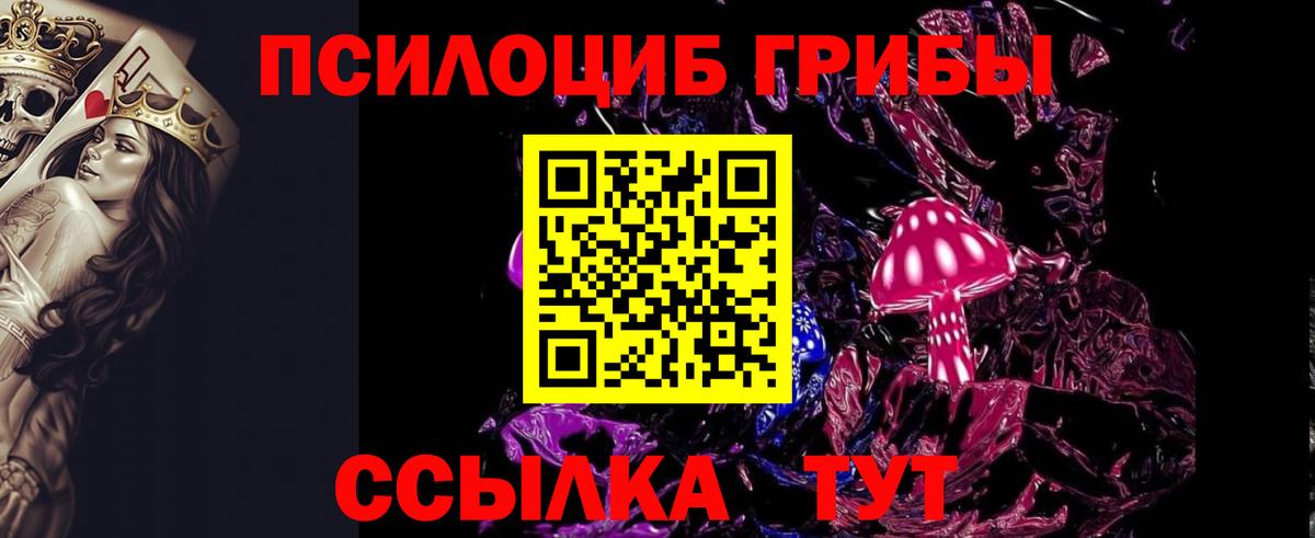 Калач-на-Дону  Псилоцибиновые грибы Psilocybine cubensis  Галлюциногенные грибы ЛСД  Вход с VPN 