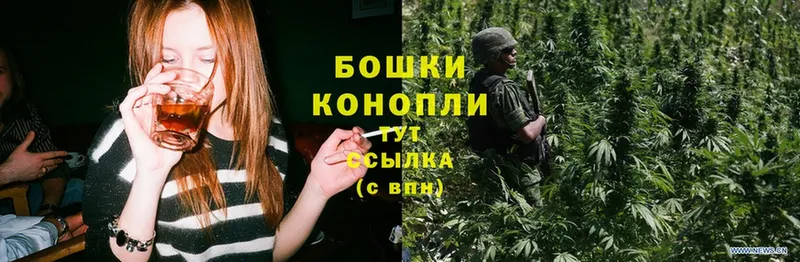 Конопля Ganja  Калач-на-Дону 